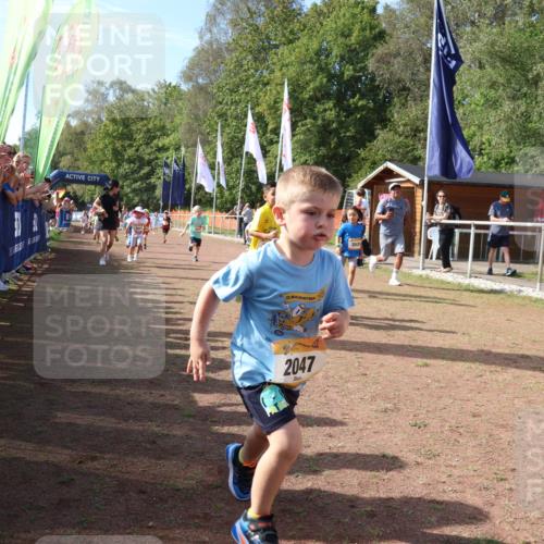08.09.2024 - Airport Race Strokosch-Dieckow http://msf.ph/oto/6999591 08.09.2024 11:13:43 Ziel  meine-sportfotos.de
