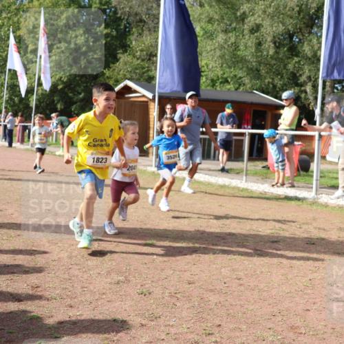 08.09.2024 - Airport Race Strokosch-Dieckow http://msf.ph/oto/6999596 08.09.2024 11:13:44 Ziel  meine-sportfotos.de
