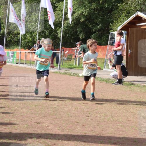 08.09.2024 - Airport Race Strokosch-Dieckow http://msf.ph/oto/6999598 08.09.2024 11:13:45 Ziel  meine-sportfotos.de