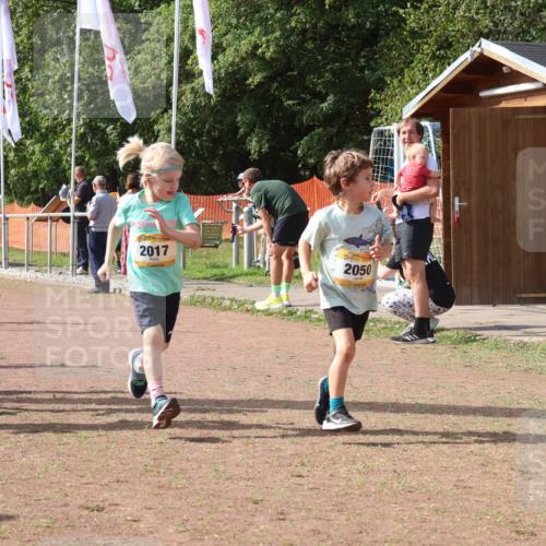 08.09.2024 - Airport Race Strokosch-Dieckow http://msf.ph/oto/6999600 08.09.2024 11:13:45 Ziel  meine-sportfotos.de