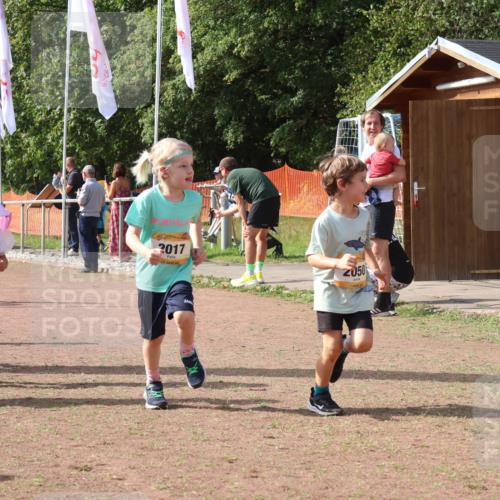 08.09.2024 - Airport Race Strokosch-Dieckow http://msf.ph/oto/6999602 08.09.2024 11:13:45 Ziel  meine-sportfotos.de