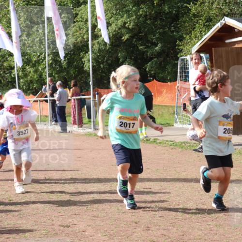 08.09.2024 - Airport Race Strokosch-Dieckow http://msf.ph/oto/6999603 08.09.2024 11:13:45 Ziel  meine-sportfotos.de