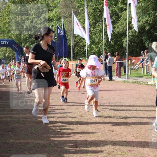 08.09.2024 - Airport Race Strokosch-Dieckow http://msf.ph/oto/6999604 08.09.2024 11:13:46 Ziel  meine-sportfotos.de