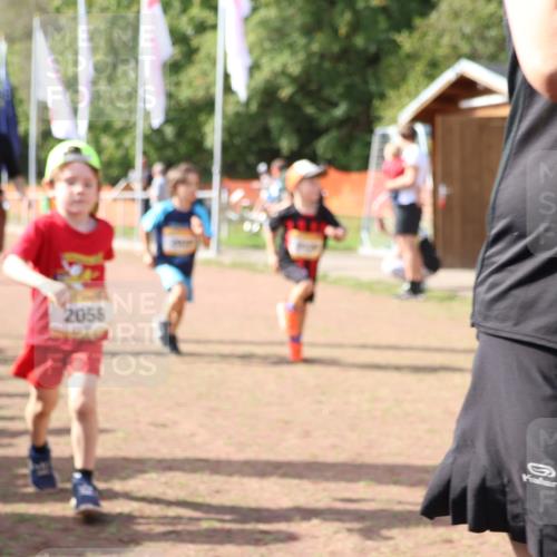 08.09.2024 - Airport Race Strokosch-Dieckow http://msf.ph/oto/6999616 08.09.2024 11:13:49 Ziel  meine-sportfotos.de
