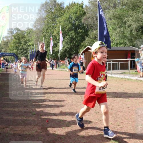 08.09.2024 - Airport Race Strokosch-Dieckow http://msf.ph/oto/6999624 08.09.2024 11:13:50 Ziel  meine-sportfotos.de