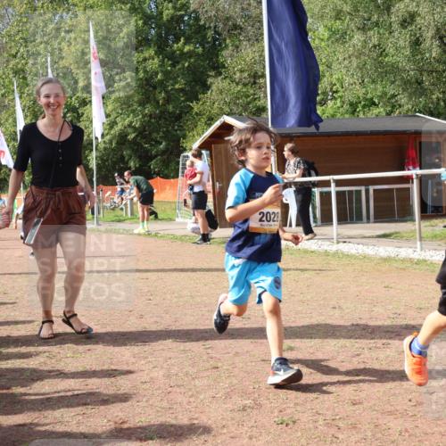 08.09.2024 - Airport Race Strokosch-Dieckow http://msf.ph/oto/6999627 08.09.2024 11:13:50 Ziel  meine-sportfotos.de