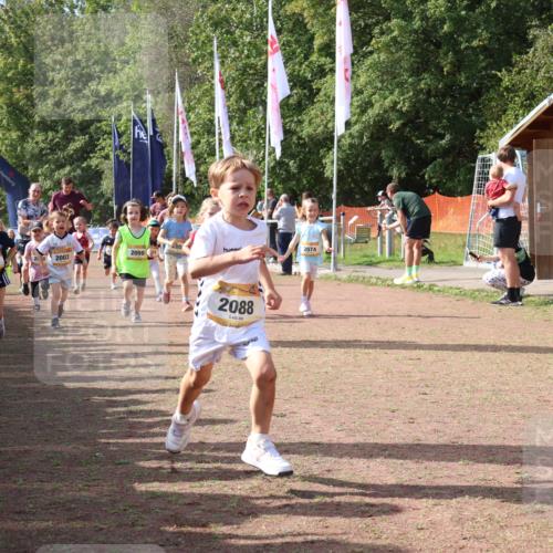 08.09.2024 - Airport Race Strokosch-Dieckow http://msf.ph/oto/6999639 08.09.2024 11:13:53 Ziel  meine-sportfotos.de