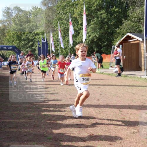 08.09.2024 - Airport Race Strokosch-Dieckow http://msf.ph/oto/6999641 08.09.2024 11:13:53 Ziel  meine-sportfotos.de