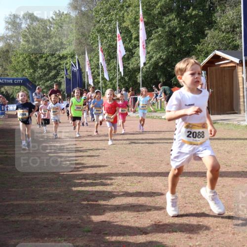 08.09.2024 - Airport Race Strokosch-Dieckow http://msf.ph/oto/6999642 08.09.2024 11:13:53 Ziel  meine-sportfotos.de