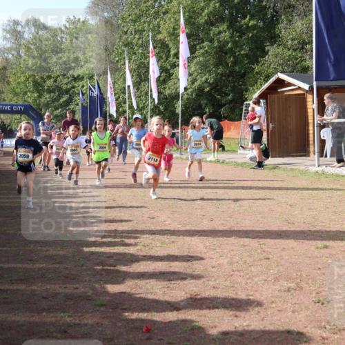 08.09.2024 - Airport Race Strokosch-Dieckow http://msf.ph/oto/6999644 08.09.2024 11:13:54 Ziel  meine-sportfotos.de