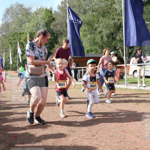 08.09.2024 - Airport Race Strokosch-Dieckow http://msf.ph/oto/6999680 08.09.2024 11:14:00 Ziel  meine-sportfotos.de