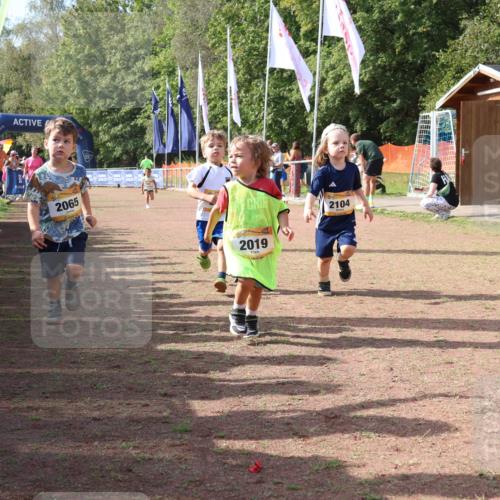 08.09.2024 - Airport Race Strokosch-Dieckow http://msf.ph/oto/6999726 08.09.2024 11:14:08 Ziel  meine-sportfotos.de
