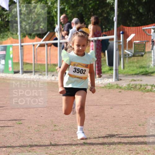 08.09.2024 - Airport Race Strokosch-Dieckow http://msf.ph/oto/6999738 08.09.2024 11:14:14 Ziel  meine-sportfotos.de