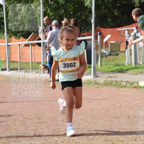 08.09.2024 - Airport Race Strokosch-Dieckow http://msf.ph/oto/6999740 08.09.2024 11:14:14 Ziel  meine-sportfotos.de