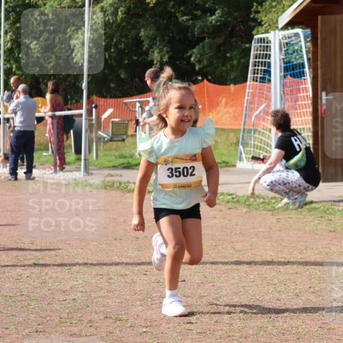 08.09.2024 - Airport Race Strokosch-Dieckow http://msf.ph/oto/6999747 08.09.2024 11:14:15 Ziel  meine-sportfotos.de