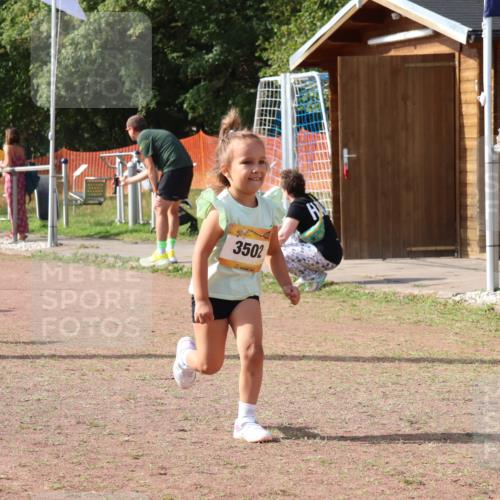 08.09.2024 - Airport Race Strokosch-Dieckow http://msf.ph/oto/6999748 08.09.2024 11:14:16 Ziel  meine-sportfotos.de