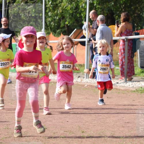 08.09.2024 - Airport Race Strokosch-Dieckow http://msf.ph/oto/6999803 08.09.2024 11:14:32 Ziel  meine-sportfotos.de