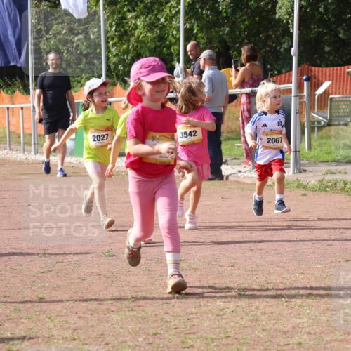 08.09.2024 - Airport Race Strokosch-Dieckow http://msf.ph/oto/6999805 08.09.2024 11:14:33 Ziel  meine-sportfotos.de