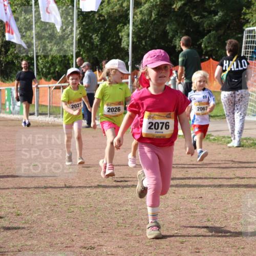 08.09.2024 - Airport Race Strokosch-Dieckow http://msf.ph/oto/6999809 08.09.2024 11:14:34 Ziel  meine-sportfotos.de