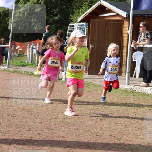08.09.2024 - Airport Race Strokosch-Dieckow http://msf.ph/oto/6999811 08.09.2024 11:14:35 Ziel  meine-sportfotos.de