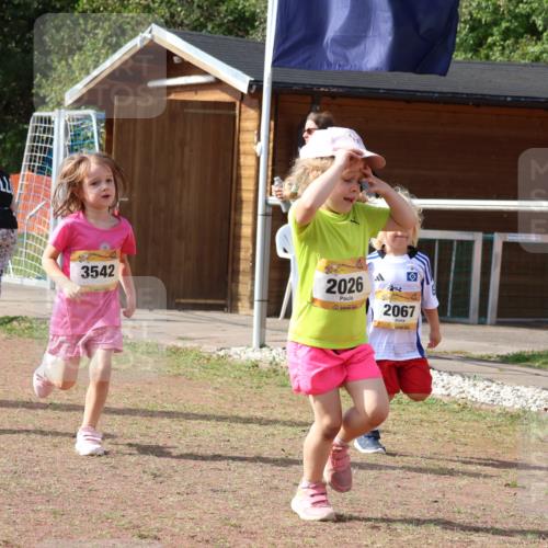 08.09.2024 - Airport Race Strokosch-Dieckow http://msf.ph/oto/6999815 08.09.2024 11:14:36 Ziel  meine-sportfotos.de