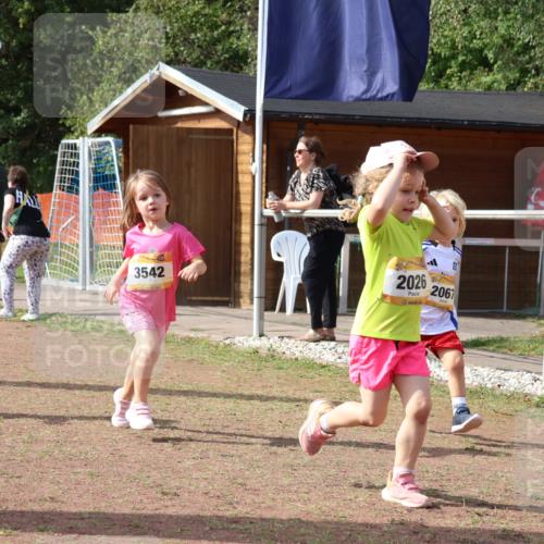08.09.2024 - Airport Race Strokosch-Dieckow http://msf.ph/oto/6999816 08.09.2024 11:14:36 Ziel  meine-sportfotos.de