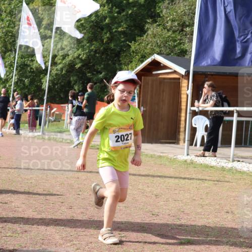 08.09.2024 - Airport Race Strokosch-Dieckow http://msf.ph/oto/6999826 08.09.2024 11:14:38 Ziel  meine-sportfotos.de