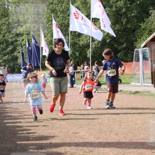 08.09.2024 - Airport Race Strokosch-Dieckow http://msf.ph/oto/6999876 08.09.2024 11:14:51 Ziel  meine-sportfotos.de