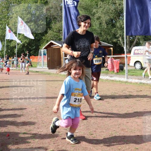 08.09.2024 - Airport Race Strokosch-Dieckow http://msf.ph/oto/6999918 08.09.2024 11:14:54 Ziel  meine-sportfotos.de