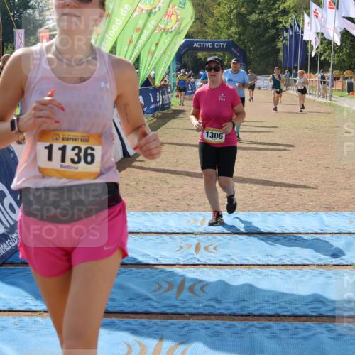 08.09.2024 - Airport Race Strokosch-Dieckow http://msf.ph/oto/7000875 08.09.2024 12:55:25 Ziel 12, 256, 288, 870, 1106, 1136, 1306 meine-sportfotos.de