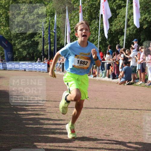 08.09.2024 - Airport Race Strokosch-Dieckow http://msf.ph/oto/7001821 08.09.2024 11:26:05 Ziel 1882 meine-sportfotos.de