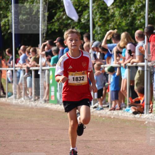 08.09.2024 - Airport Race Strokosch-Dieckow http://msf.ph/oto/7001886 08.09.2024 11:26:17 Ziel 1832, 1887, 3430 meine-sportfotos.de