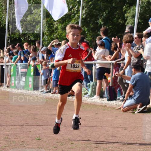 08.09.2024 - Airport Race Strokosch-Dieckow http://msf.ph/oto/7001895 08.09.2024 11:26:18 Ziel 1832, 1887, 3430 meine-sportfotos.de