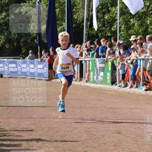 08.09.2024 - Airport Race Strokosch-Dieckow http://msf.ph/oto/7001981 08.09.2024 11:26:24 Ziel 1887, 1896, 1905, 3430 meine-sportfotos.de
