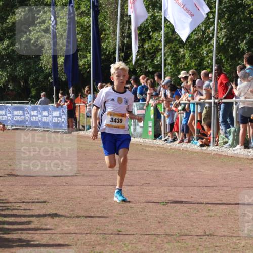 08.09.2024 - Airport Race Strokosch-Dieckow http://msf.ph/oto/7001995 08.09.2024 11:26:24 Ziel 1887, 1896, 1905, 3430 meine-sportfotos.de