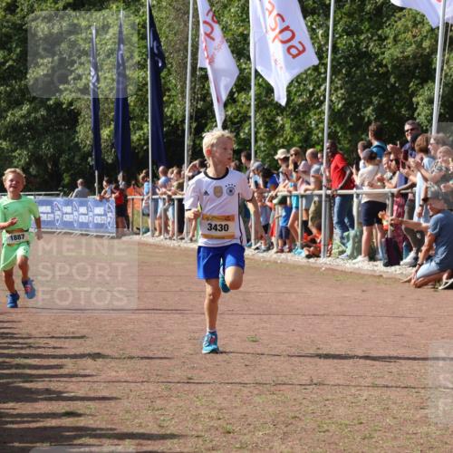 08.09.2024 - Airport Race Strokosch-Dieckow http://msf.ph/oto/7002008 08.09.2024 11:26:25 Ziel 1887, 1896, 1905, 3430 meine-sportfotos.de