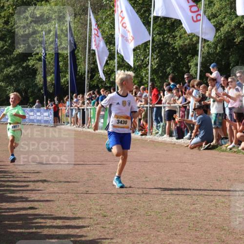 08.09.2024 - Airport Race Strokosch-Dieckow http://msf.ph/oto/7002021 08.09.2024 11:26:25 Ziel 1887, 1896, 1905, 3430 meine-sportfotos.de