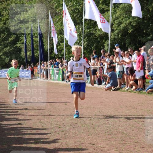 08.09.2024 - Airport Race Strokosch-Dieckow http://msf.ph/oto/7002035 08.09.2024 11:26:25 Ziel 1887, 1896, 1905, 3430 meine-sportfotos.de