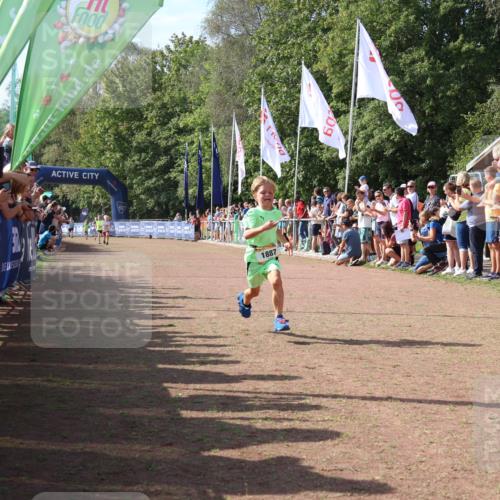 08.09.2024 - Airport Race Strokosch-Dieckow http://msf.ph/oto/7002086 08.09.2024 11:26:26 Ziel 1887, 1896, 1905, 3430 meine-sportfotos.de