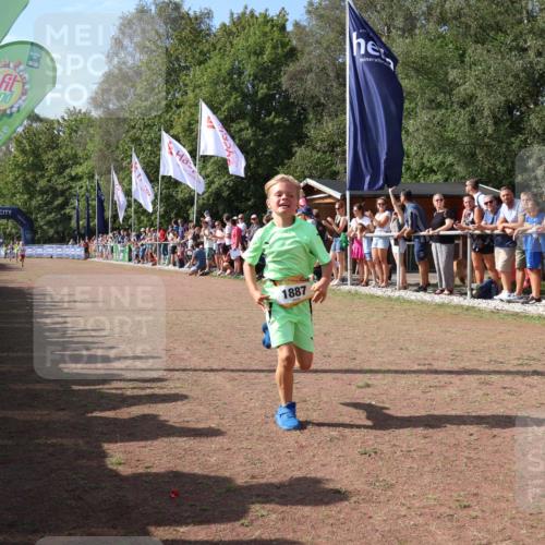 08.09.2024 - Airport Race Strokosch-Dieckow http://msf.ph/oto/7002126 08.09.2024 11:26:27 Ziel 1697, 1740, 1887, 1896, 1905 meine-sportfotos.de