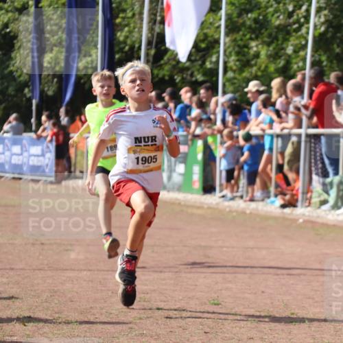 08.09.2024 - Airport Race Strokosch-Dieckow http://msf.ph/oto/7002145 08.09.2024 11:26:32 Ziel 1605, 1697, 1740, 1838, 1896, 1905, 1937, 1938 meine-sportfotos.de