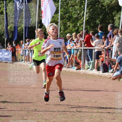 08.09.2024 - Airport Race Strokosch-Dieckow http://msf.ph/oto/7002154 08.09.2024 11:26:32 Ziel 1605, 1697, 1740, 1838, 1896, 1905, 1937, 1938 meine-sportfotos.de