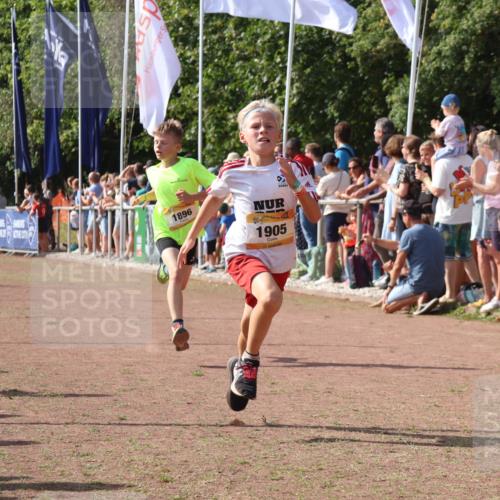 08.09.2024 - Airport Race Strokosch-Dieckow http://msf.ph/oto/7002166 08.09.2024 11:26:32 Ziel 1605, 1697, 1740, 1838, 1896, 1905, 1937, 1938 meine-sportfotos.de