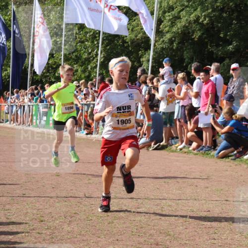 08.09.2024 - Airport Race Strokosch-Dieckow http://msf.ph/oto/7002178 08.09.2024 11:26:33 Ziel 1605, 1697, 1740, 1838, 1896, 1905, 1937, 1938 meine-sportfotos.de