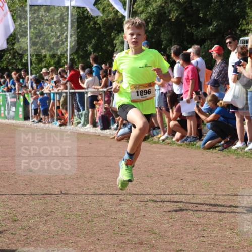 08.09.2024 - Airport Race Strokosch-Dieckow http://msf.ph/oto/7002221 08.09.2024 11:26:34 Ziel 1605, 1697, 1740, 1838, 1872, 1896, 1937, 1938 meine-sportfotos.de