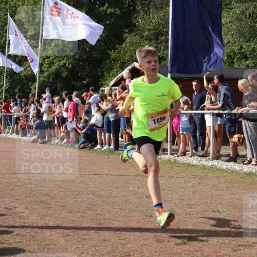 08.09.2024 - Airport Race Strokosch-Dieckow http://msf.ph/oto/7002264 08.09.2024 11:26:34 Ziel 1605, 1697, 1740, 1838, 1872, 1896, 1937, 1938 meine-sportfotos.de