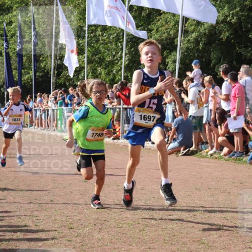08.09.2024 - Airport Race Strokosch-Dieckow http://msf.ph/oto/7002361 08.09.2024 11:26:38 Ziel 1605, 1697, 1722, 1740, 1838, 1872, 1921, 1937, 1938, 1939 meine-sportfotos.de