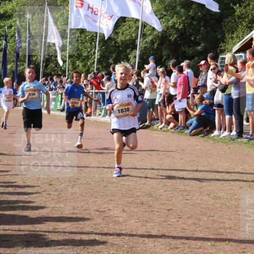 08.09.2024 - Airport Race Strokosch-Dieckow http://msf.ph/oto/7002453 08.09.2024 11:26:39 Ziel 1605, 1697, 1722, 1740, 1807, 1838, 1857, 1872, 1919, 1921, 1937, 1938, 1939 meine-sportfotos.de