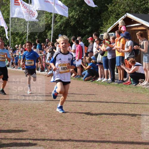 08.09.2024 - Airport Race Strokosch-Dieckow http://msf.ph/oto/7002469 08.09.2024 11:26:40 Ziel 1605, 1611, 1722, 1807, 1838, 1857, 1872, 1919, 1921, 1937, 1938, 1939 meine-sportfotos.de