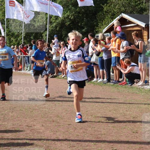 08.09.2024 - Airport Race Strokosch-Dieckow http://msf.ph/oto/7002482 08.09.2024 11:26:40 Ziel 1605, 1611, 1722, 1807, 1838, 1857, 1872, 1919, 1921, 1937, 1938, 1939 meine-sportfotos.de